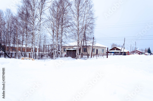 winter in park © MariyaSokolova