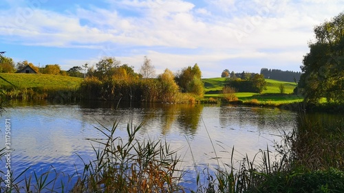 idyllischer Weiher in Allgäuer Landschaft  mit grünen Felder und blauen Himmel 