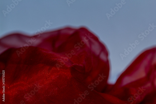 Fototapeta Naklejka Na Ścianę i Meble -  crumpled and twisted shiny red silk fabric with lurex on a blue background