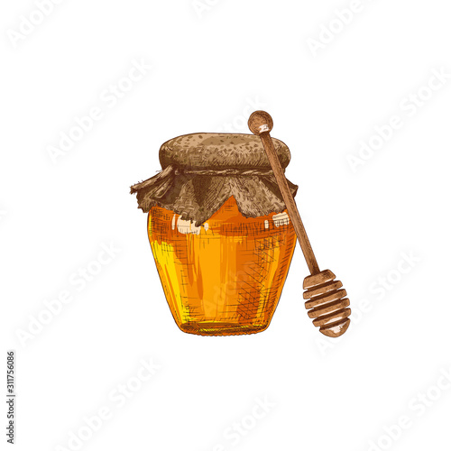 Hand drawn colorful honey jar and wooden honey dipper isolated on white background. Vector illustration.
