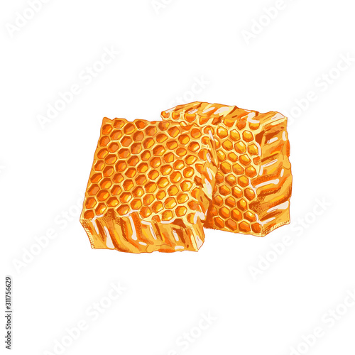 Hand drawn colorful honey comb isolated on white background. Vector illustration