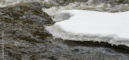 ice crust on a creek photo