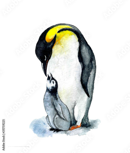 Cute watercolor penguin with baby