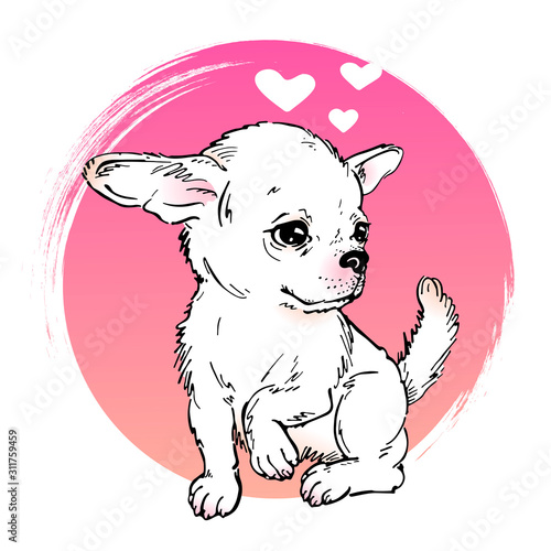  Charming chihuahua in love. Image for Valentine s Day