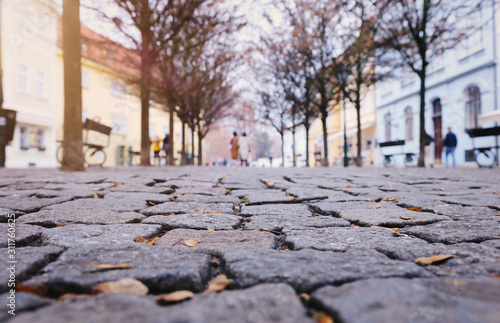 low angle of paving stone vintage road cover with old houses, antique street photo