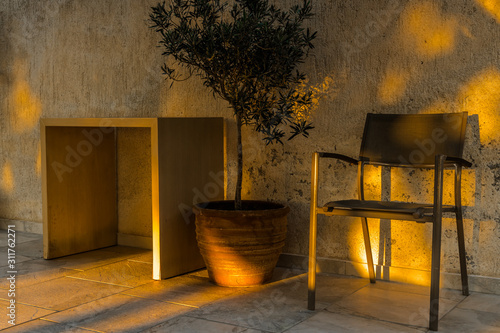 Table and chair near olive tree