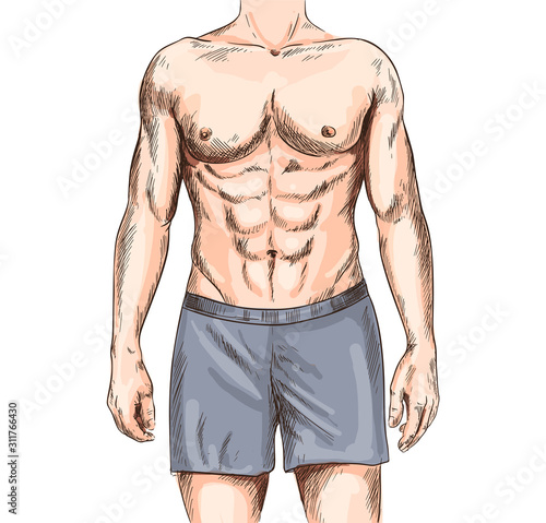 Fit and sexy male body, athletic and muscular