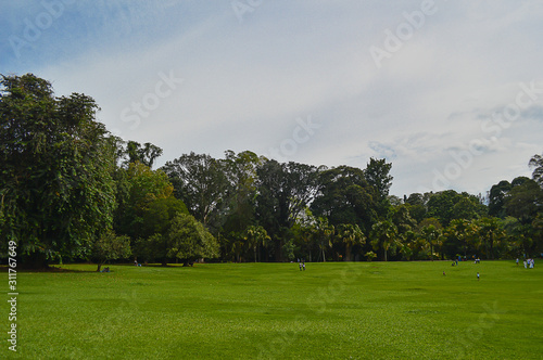 Peradeniya Royal Botanical Garden kandy Sri lanka 