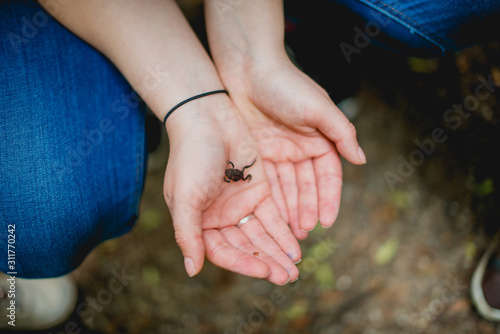 little frog in the hands