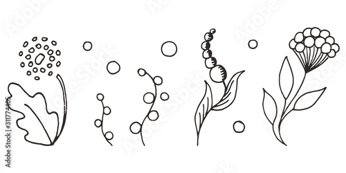 Set of ornamental leaves, flowers, twigs in Doodle style. Hand drawn illustrations on white background. Black silhouettes. Elegant floral elements set. Decoration postcards, magazines, site, books