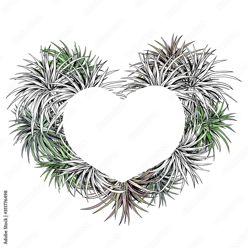 Heart shape frame with tropical palm plants. Hand drawn vector illustration isolated on white background.