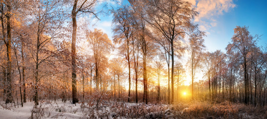 Papier peint photo Pantone 2025 Mocha Mousse Panoramic winter landscape at sunset, with vibrant blue sky and gold rays of light illuminating the snow covered trees   © Smileus