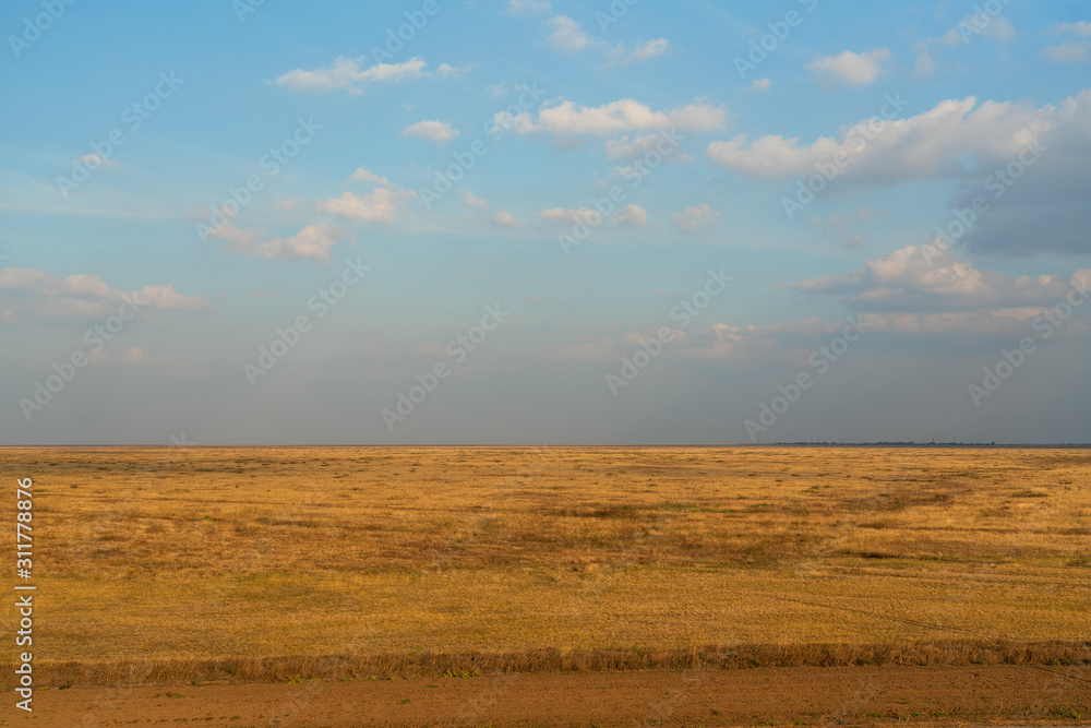 Fototapeta premium Autumn steppe field yellow grass natural landcape view