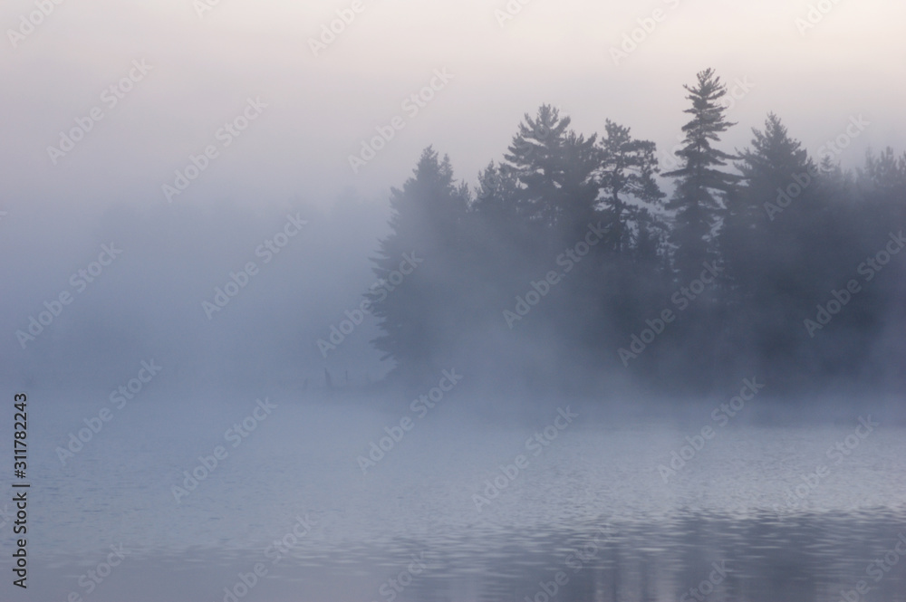 Fog Fog