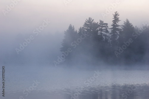 Fog © Pavel Cheiko