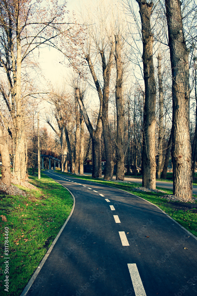 Autumn landscape, footpath at sunset, trees without leaves. Autumn landscape, footpath at sunset, trees without leaves.
