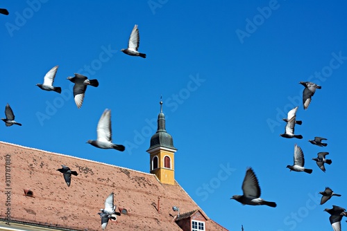 Sibiu Hermannstadt Altstadt Rumänien photo