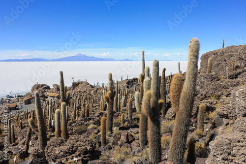  Landscape on Incahuasi Island in the Salar de Uyuni, Bolivia