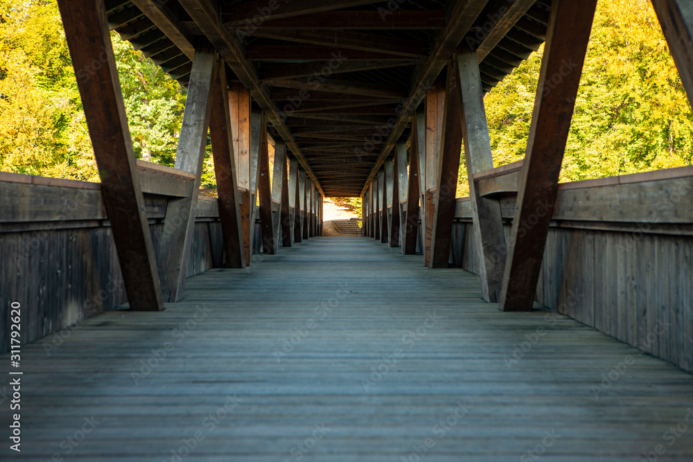 old wooden bridge in nature with converging lines leading into the horizon old wooden bridge in nature with converging lines leading into the horizon
