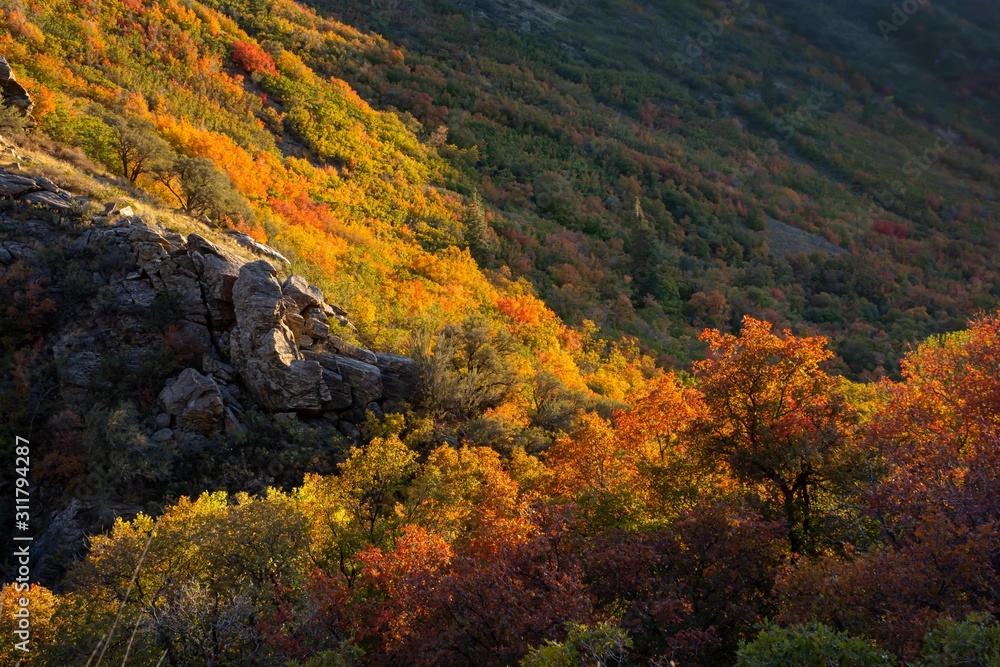 Autumn Mountainside