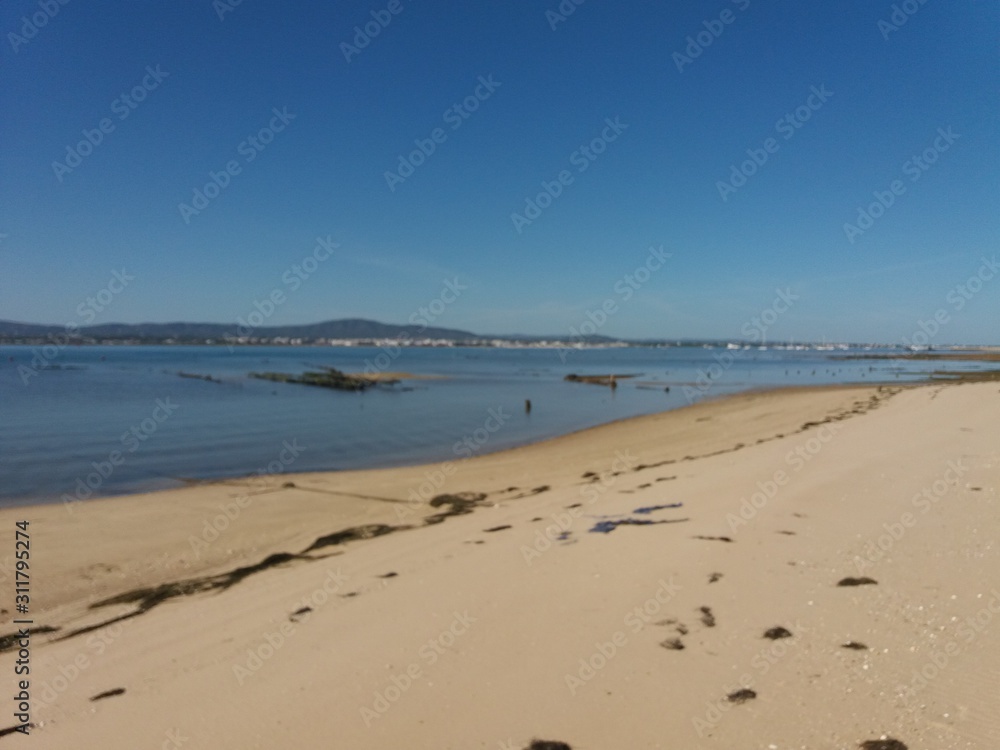 beach and sea