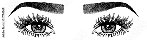 Illustration with woman's eyes, eyelashes and eyebrows. Makeup Look. Tattoo design. Logo for brow bar or lash salon.