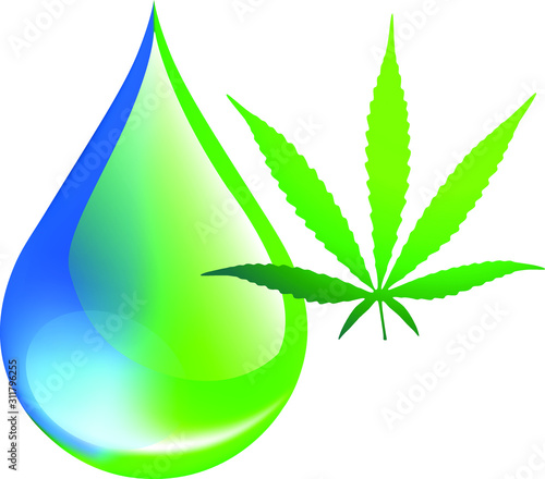 green leaf cannabis and water drop