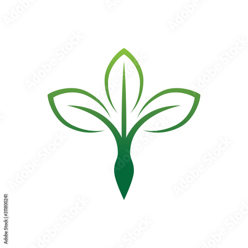 abstract woman beauty salon, empower and herbal supplement vitamin green organic vector logo design