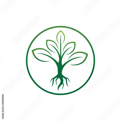 herbal leaf tea green organic beauty supplement vitamin vector logo design