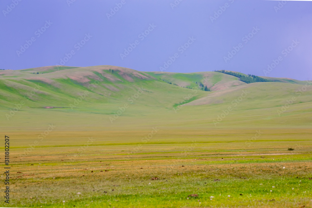 Fototapeta premium mongolie paysages de la steppe