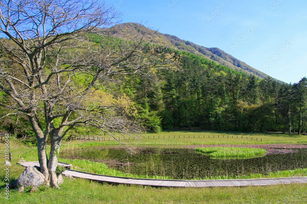 Fototapeta premium 三瓶山の姫逃池