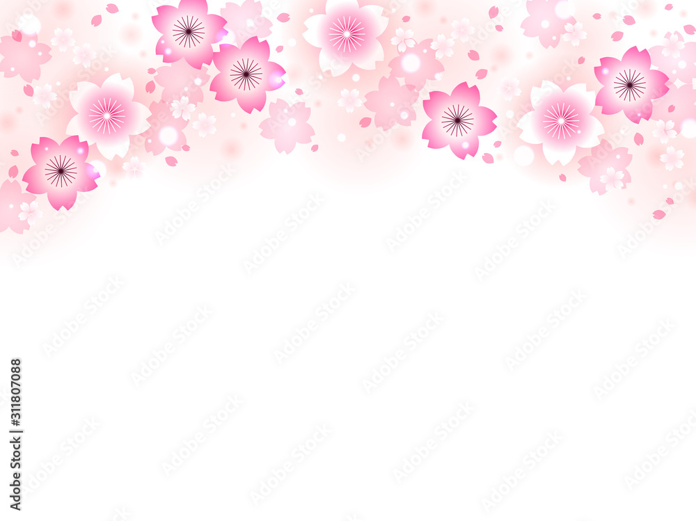 サクラの花のイラスト背景