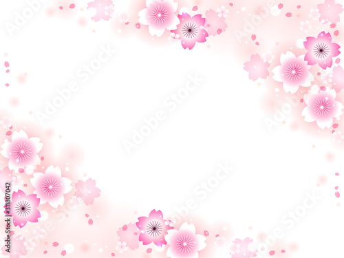 サクラの花のイラスト背景