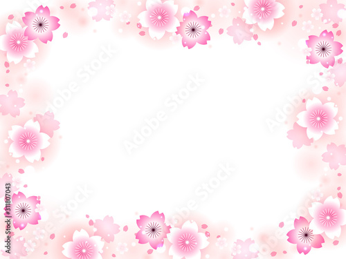 サクラの花のイラスト背景