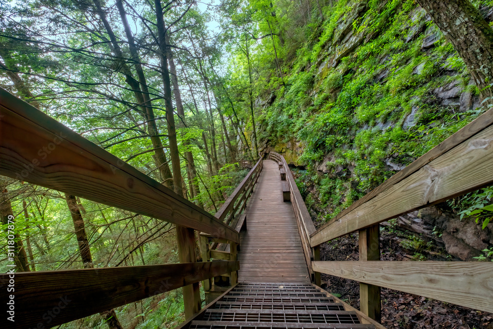 Hemlock Falls Trail, Cloudland Canyon State Park, Georgia, USA	