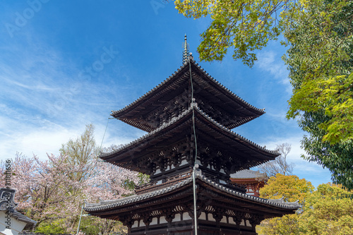 Wallpaper Mural 奈良 興福寺の春景色 三重塔 Torontodigital.ca