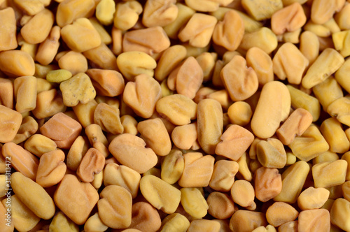 Fenugreek seeds as background. Close up texture photo