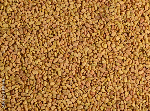 Fenugreek seeds as background. Close up texture photo