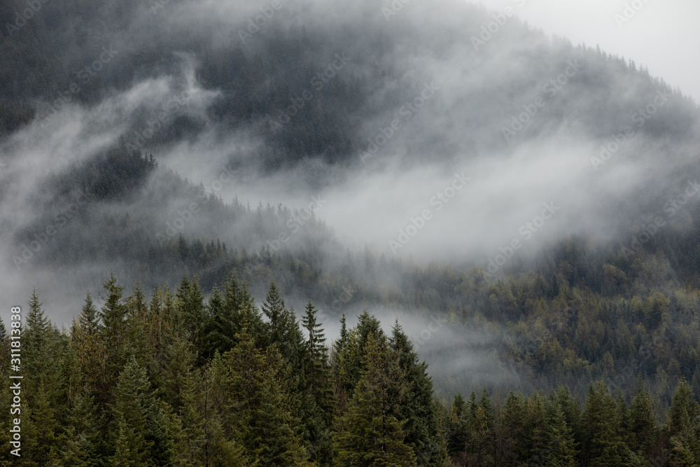 Photos of fog covering the mountains in Alaska 