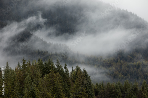 Photos of fog covering the mountains in Alaska 