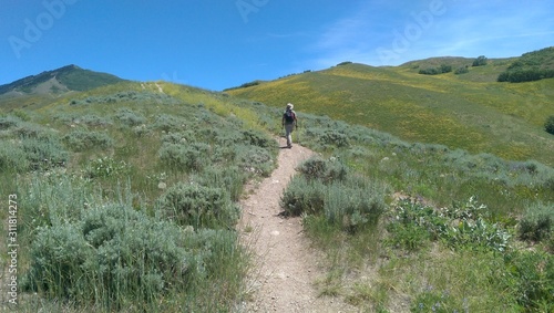 Spring hiking in the foothills of the Wasatch