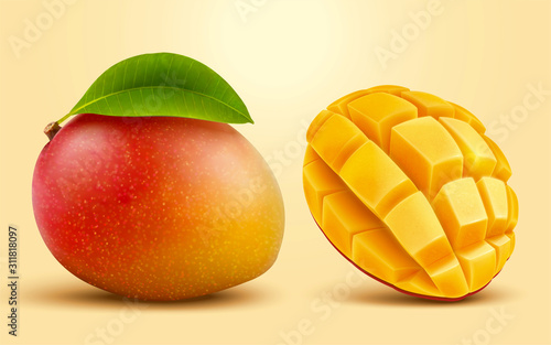 Fototapeta 3d illustration mango fruit