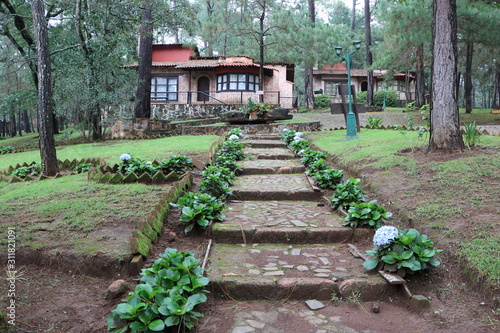 Path to a cabin in the forest mountain town of Mazamitla, Jalisco, Mexico photo