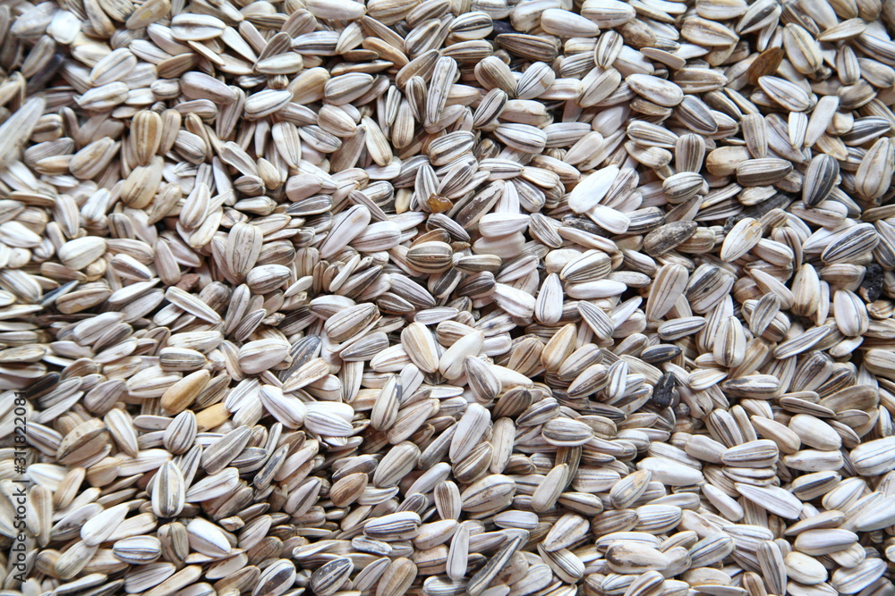 sunflower seeds background sunflower seeds background