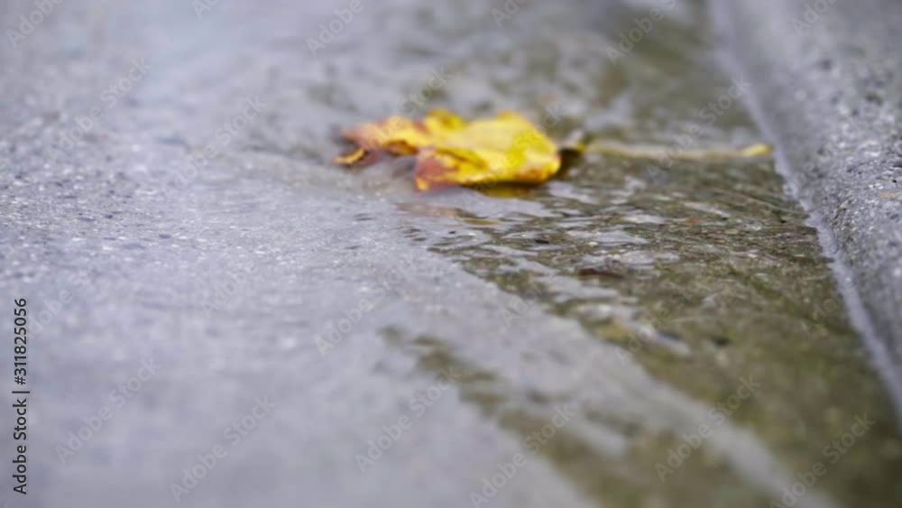 Slow Motion of Yellow Leaf Floating In Sidewalk Gutter Stream Slow Motion of Yellow Leaf Floating In Sidewalk Gutter Stream
