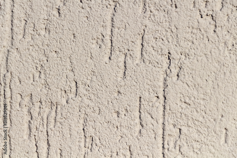 The texture of the stucco wall of the house.