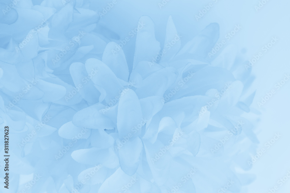 Beautiful abstract color purple and blue flowers on white background and  light blue flower frame and purple leaves texture, blue background, white  flowers, love valentine, blue banners Stock Photo | Adobe Stock