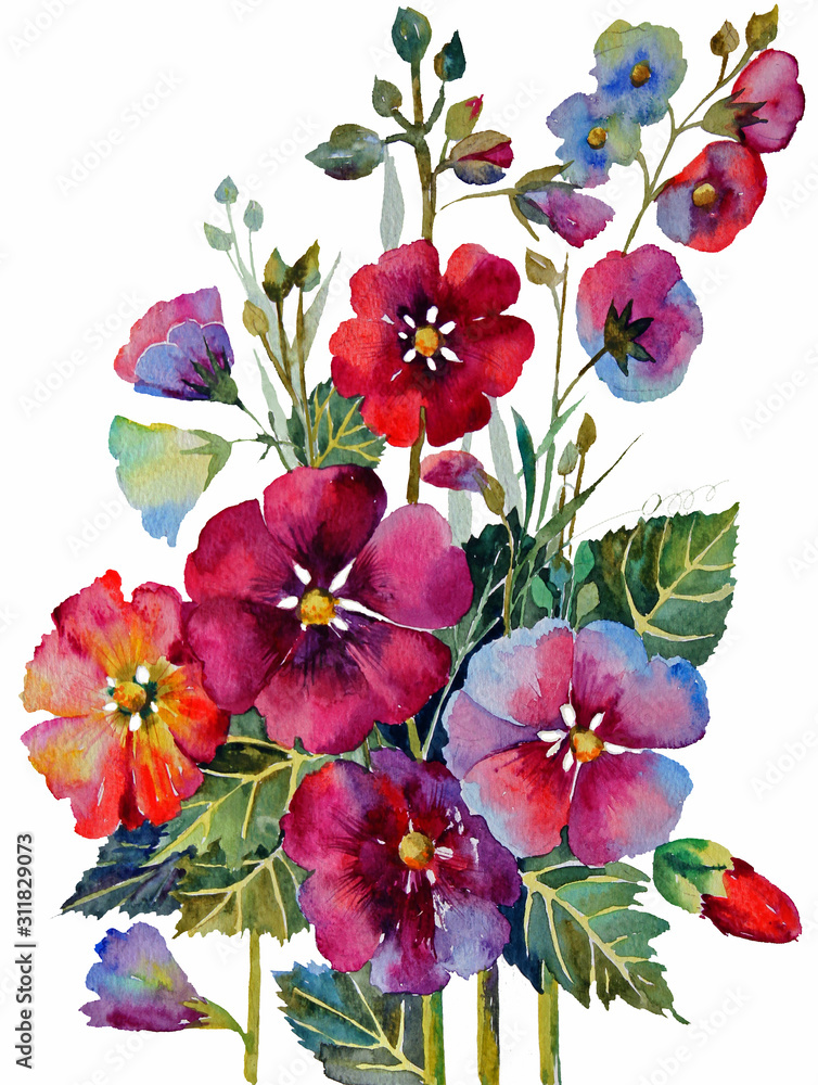 bouquet of flowers. mallow.  watercolor on white background for postcard fabric Wallpaper design - obrazy, fototapety, plakaty 