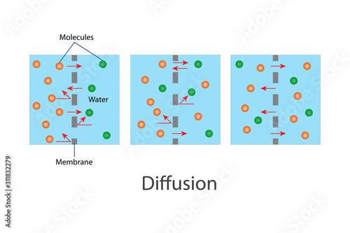 Diffusion transport