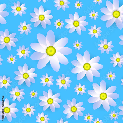Pink daisy flowers on the blue seamless pattern